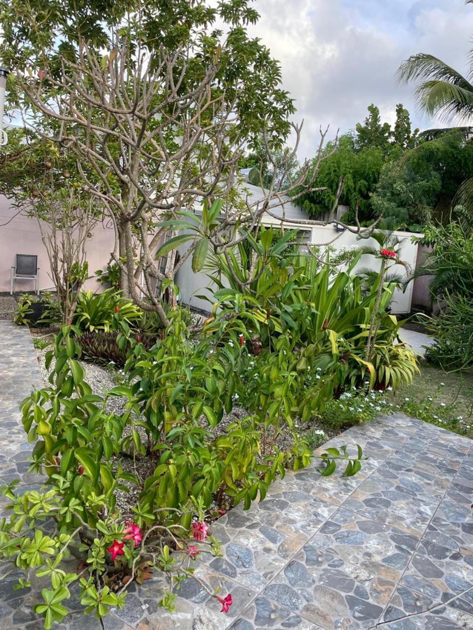 Villa Almeida A 500M De La Plage Courcelles Kültér fotó